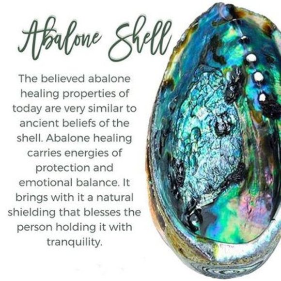 Vintage Chico Abalone pendant Necklace - Picture 6 of 7